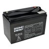 Trakčná (GEL) batéria GOOWEI ENERGY OTL100-12, 100Ah, 12V