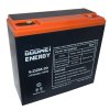 Trakčná (GEL) batéria GOOWEI ENERGY 6-DZM-20, 24Ah, 12V