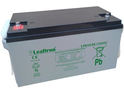 Leaftron LTG12-65