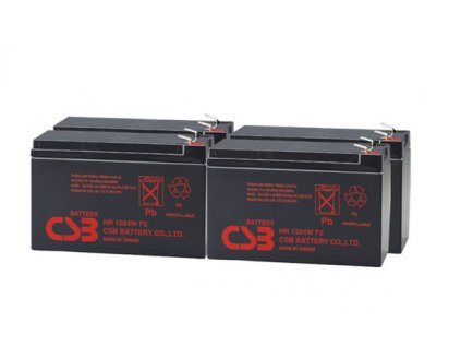 CSB RBC24