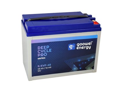 Goowei Energy DC pro 2025 6 EVF 45