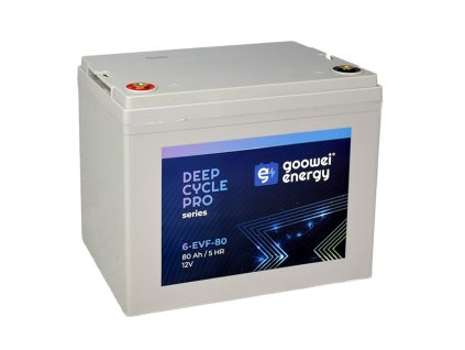 Goowei Energy DC pro 2025 6 EVF 80