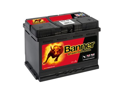 Banner starting bull 560 60