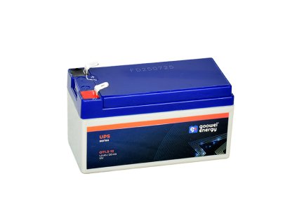 Goowei Energy UPS 2025 OT1 3 12