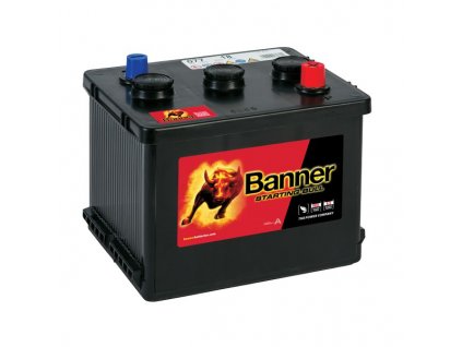 Banner P4523 Power Bull 12V 45Ah 390A Autobatterie