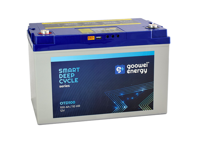 GOOWEI ENERGY OTD100 100Ah 12V