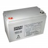 Trakční (GEL) baterie GOOWEI ENERGY 6-EVF-100, 100Ah, 12V