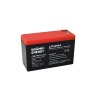 Goowei Energy CNLFP10 12.8