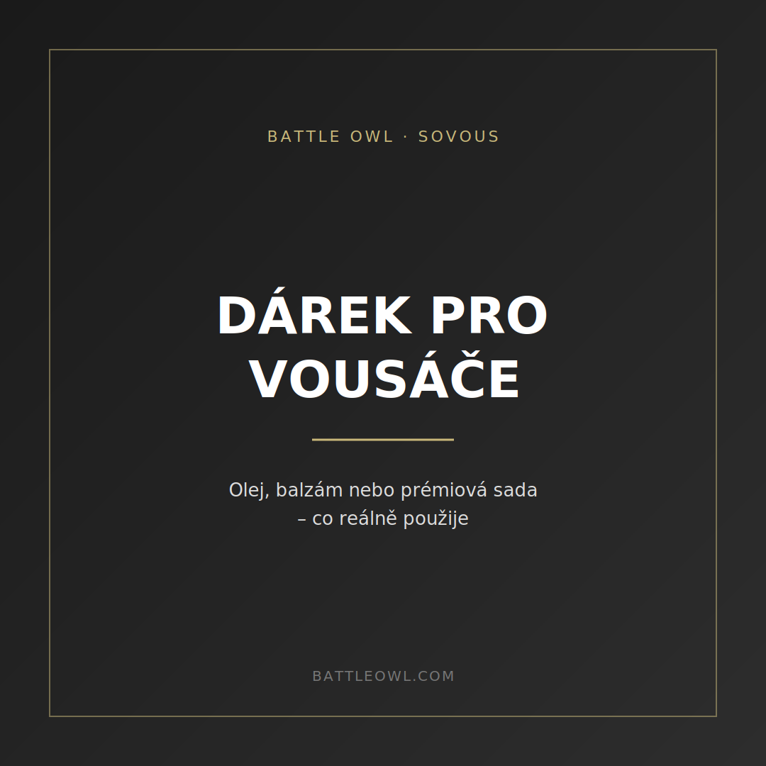 Dárek pro vousáče – co koupit muži, který si potrpí na vousy