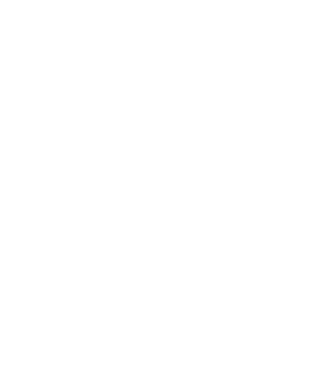Battle Owl