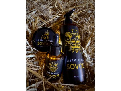 bc08ed40 d77a 41be ac45 0703055becd7