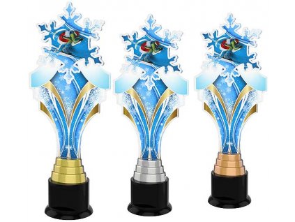 Acrylic trophy ACTKS0011
