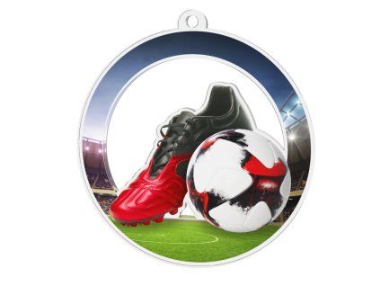 Football - Trophies, medals, awards, plaques - Bauer Trophy