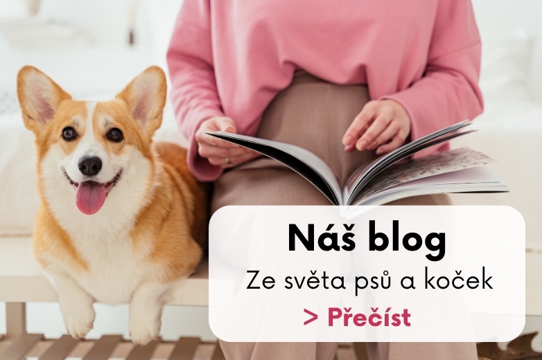 Náš blog
