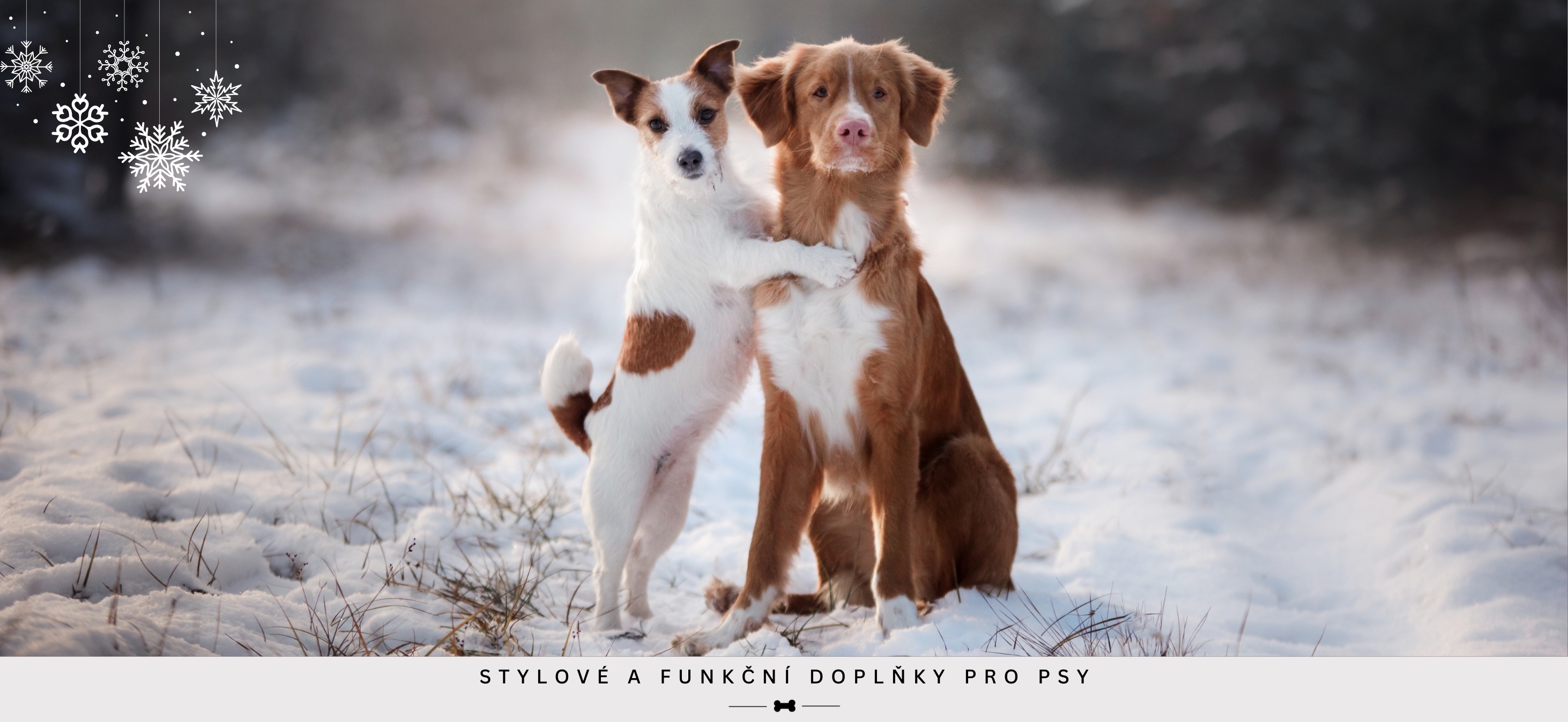 Baven - stylové doplňky pro psy