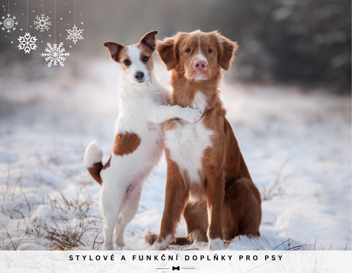 Baven - stylové doplňky pro psy