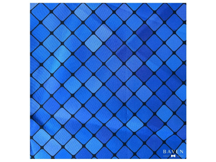 Postroj pro psa modré kostičky Blue Squares