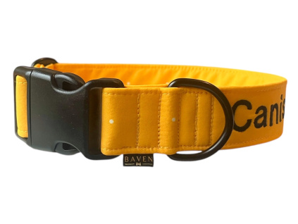 Softshellový obojek pro psa hořčicový Simple Dot Mustard