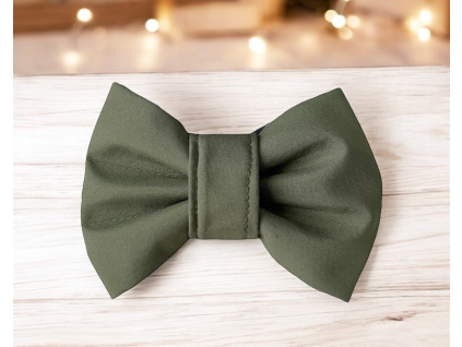 Zelený motýlek pro psa Simple Green