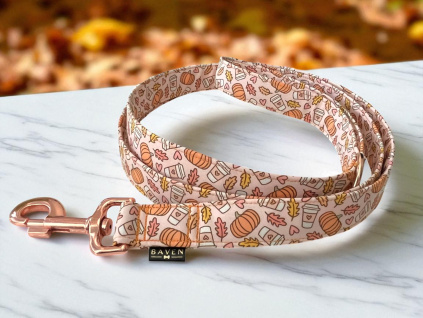 Podzimní vodítko pro psa Pumpkin Spice Latte