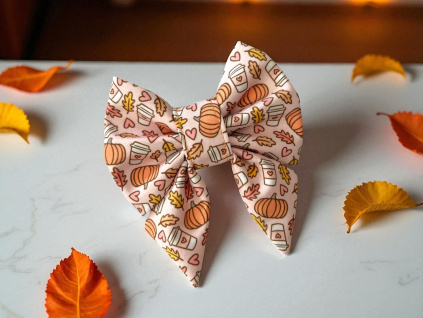 Podzimní mašle pro psa Pumpkin Spice Latte