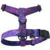 Fialový postroj pro psa Galaxy Violet