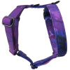 Fialový postroj pro psa Galaxy Violet