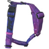 Fialový postroj pro psa Galaxy Violet