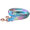 Duhové softshellové vodítko pro psa s dračím vzorem Summer Dragon