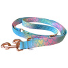 Duhové softshellové vodítko pro psa s dračím vzorem Summer Dragon