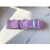 Martingale obojek Royal Violet