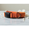 Vzor Oranžový softshellový obojek pro psa Simple Orange
