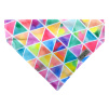 Barevný duhový šátek pro psa Triangles