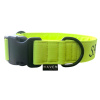 Obojek Neon Reflective