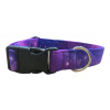 Softshellový obojek pro psa vesmírný Galaxy Violet
