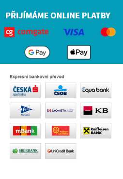 Expresní bankovní převody