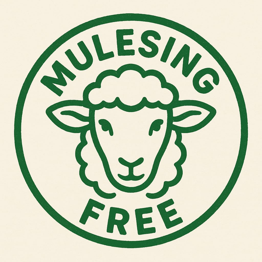 WhatsApp Image 2025-10-03 at 14.37.34