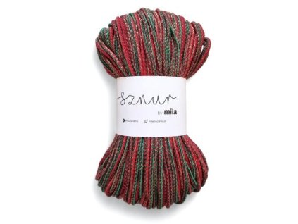 2025 11 29 12 50 44 Window