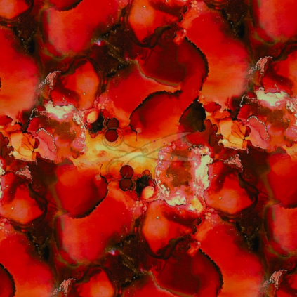 SW908636 082279