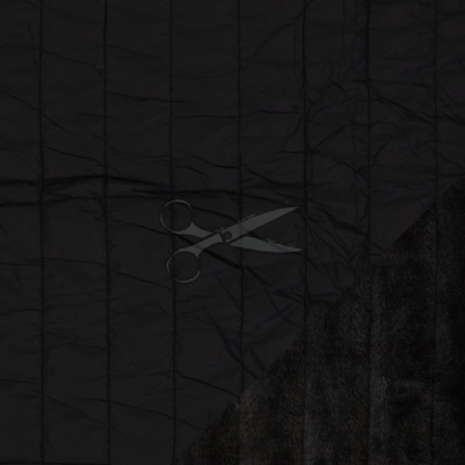 FAC 0001