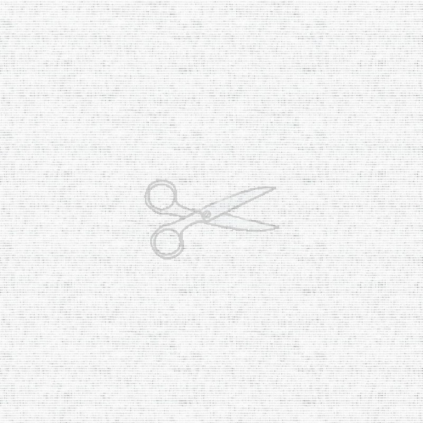 L1
