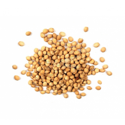 PCK500G