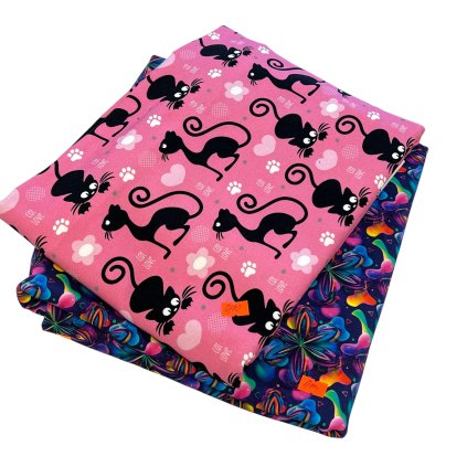 Photoroom 20260303 171247