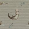 SW082081 600671 1