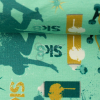 SW081828 300260 4