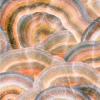 MU5460 1852