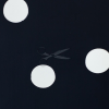 SW082427 101597 11