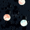 SW082427 101597 13