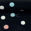 SW082427 101597 15