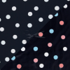 SW082427 101597 2